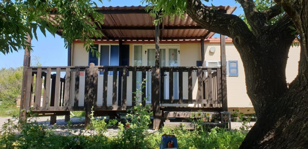 The Farm Tiny House - Tiny Casa Hotel Chiclana de la Frontera Exterior photo