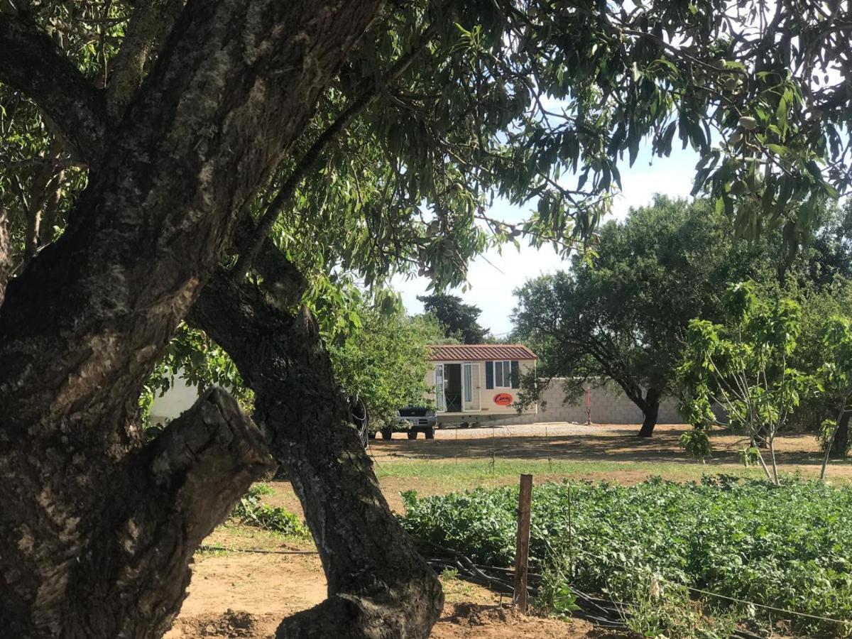The Farm Tiny House - Tiny Casa Hotel Chiclana de la Frontera Exterior photo